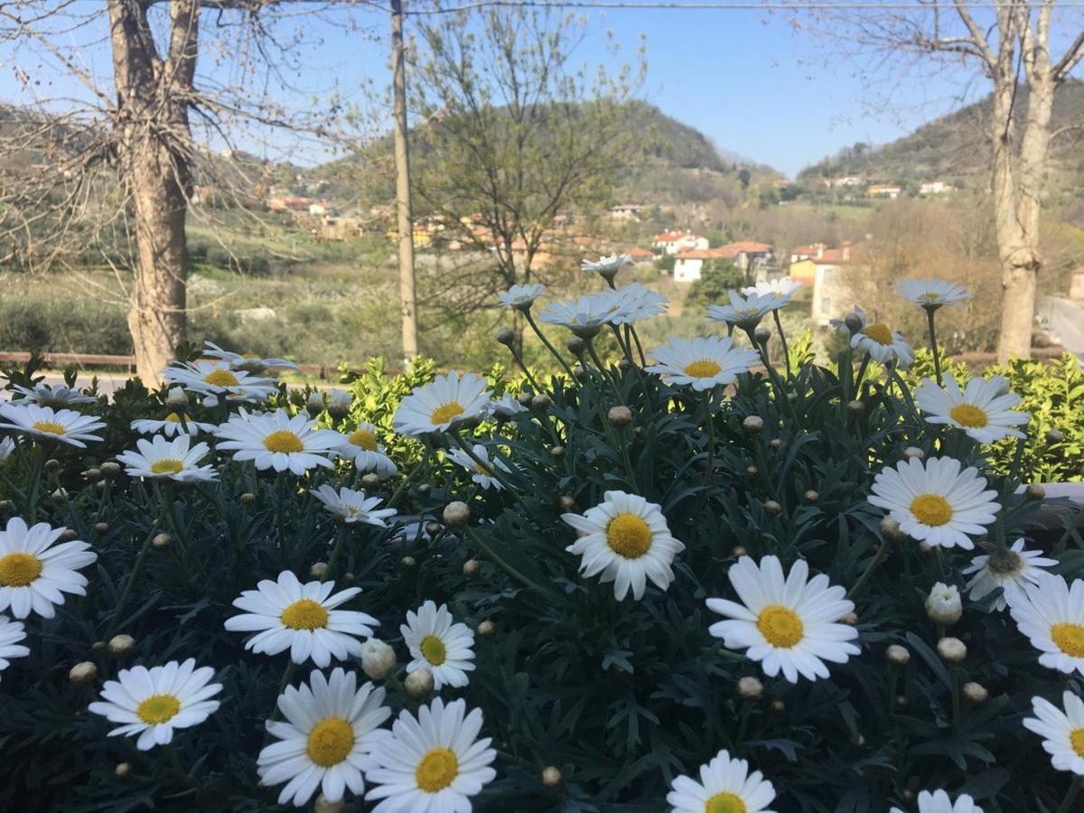 Belvedere Resort Ai Colli Galzignano Terme المظهر الخارجي الصورة