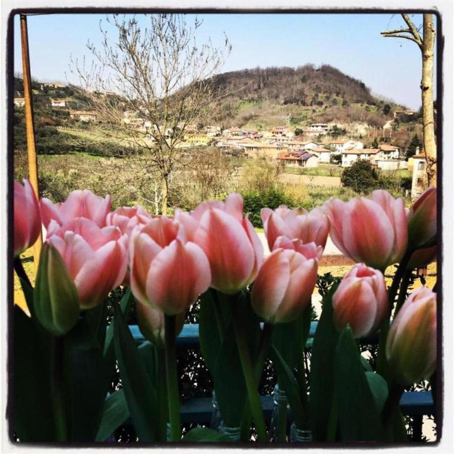 Belvedere Resort Ai Colli Galzignano Terme المظهر الخارجي الصورة